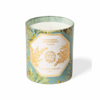 Carriere Freres Museum Absinthe Candle