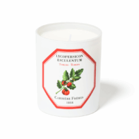 Carriere Freres Tomato Candle