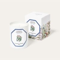 Carriere Freres Tiare Candle