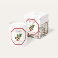 Carriere Freres Tomato Candle