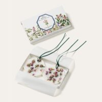 Carriere Freres Damask Rose Botanical Palets