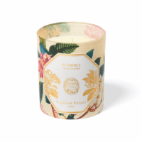 Carriere Freres Museum Frangipani Candle