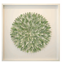 Sage and white feather artwork framed in a white frame