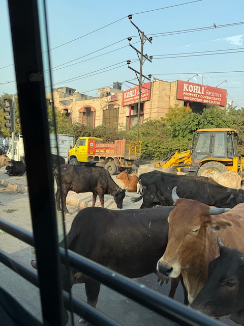 Chaotic streets of India
