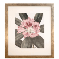 pink flower print in a soft gold frame