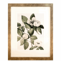 Flower print in a soft gold frame